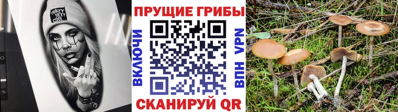 Галлюциногенные грибы ЛСД  нарко площадка как зайти  Каневская 