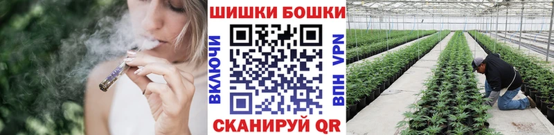 Конопля Bruce Banner Каневская